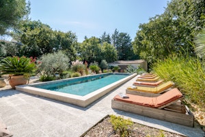 The Lavender Path image 4