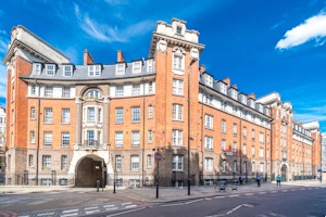 Westminster Belle image 6