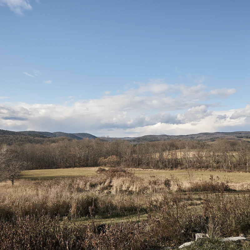 Relax in the peace and quiet of this remote home