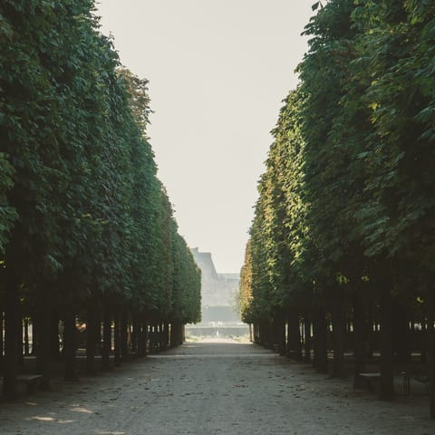 Take a refreshing pause while admiring the Tuileries Garden