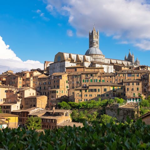 Make the half-hour drive to Siena for a day trip