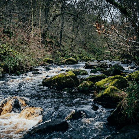 Visit the National Trust’s Hardcastle Crags – it's a short drive away