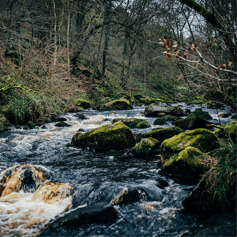 Visit the National Trust’s Hardcastle Crags – it's a short drive away