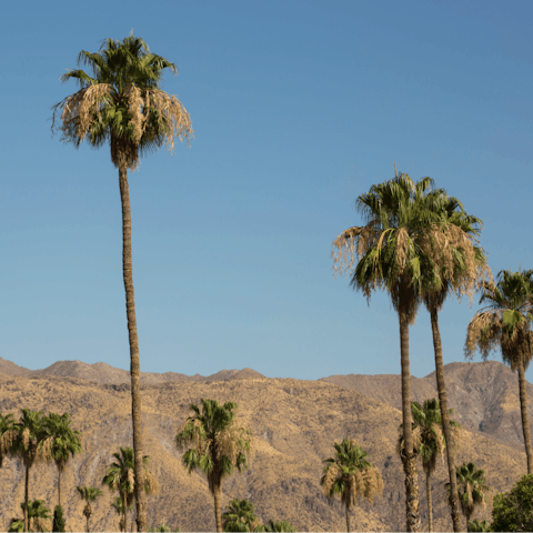 Stay just five minutes' drive from Palm Springs' downtown attractions