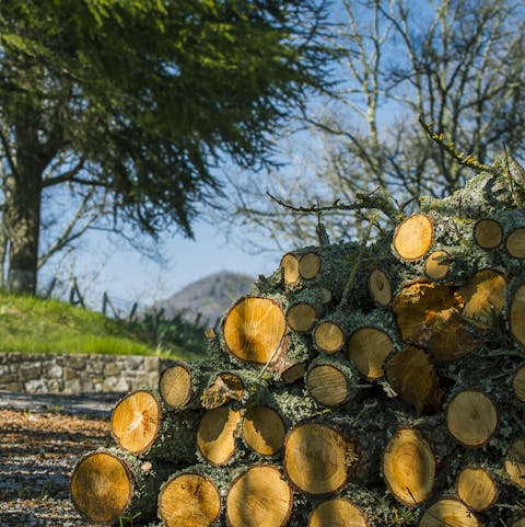 Get a fire going inside with the plentiful log supply