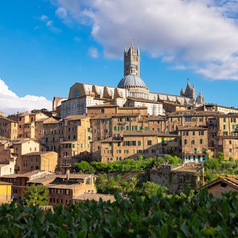 Take a day trip to beautiful Siena, a forty-five-minute drive away