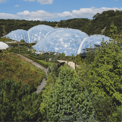 Visit the Eden Project's impressive domes, each one housing a unique ecosystem – it's a little over thirty miles away