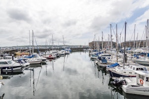 Marina Days image 11