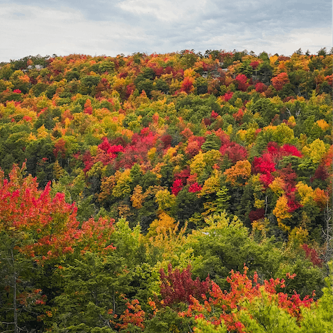 Explore the area, including Woodstock, 2 miles away
