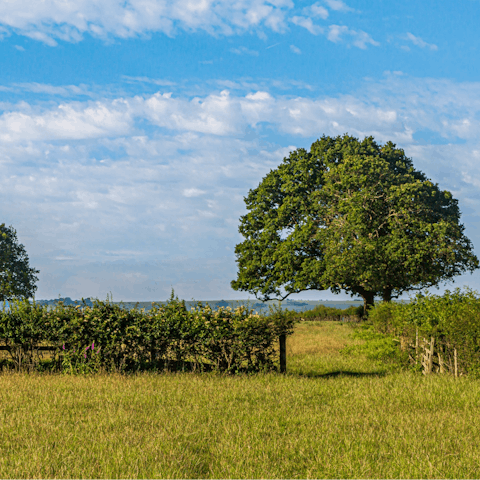 Head off for walks in the countryside – perhaps stopping off at a pub along the way