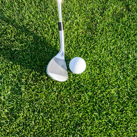 Spend a day on the nearby golf green, practising your putt 