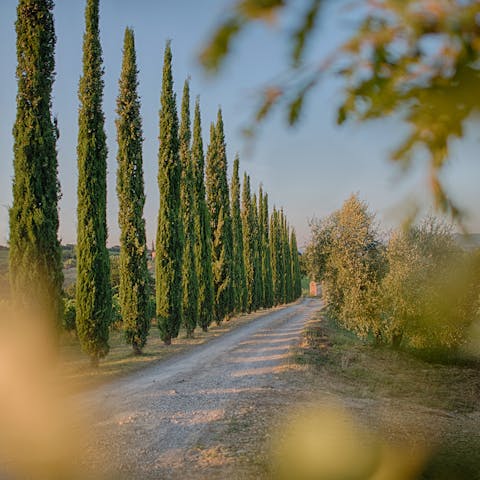 Immerse yourself in the beauty of Tuscany from Vitignano