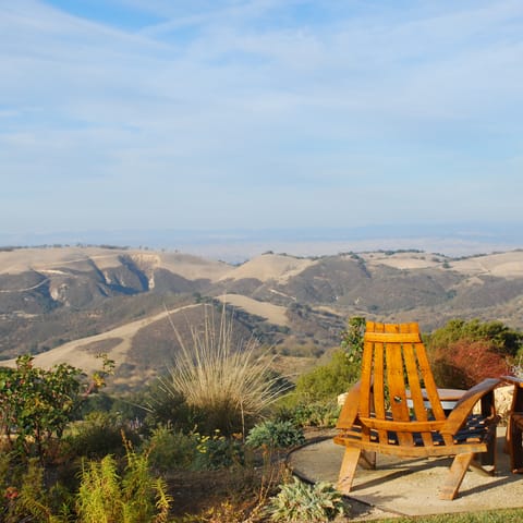 Stay in Paso Robles, California – renowned for its wineries and olive groves