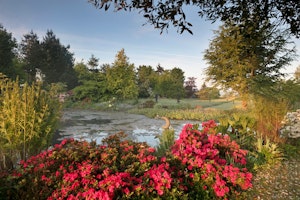 Cosy Cotswolds image 14