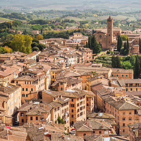 Explore the nearby town of Terranuova Bracciolini, a five minutes' walk away