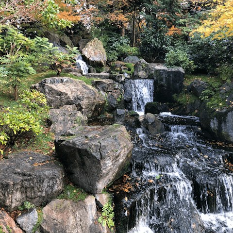 Discover the Japanese Garden in Holland Park – a short stroll away