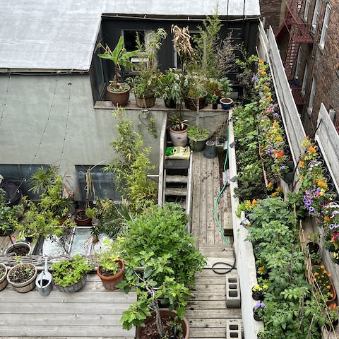 Admire hundreds of plants in the three-level garden terrace