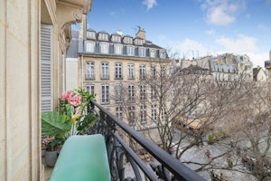 The Beauty of Paris image 6