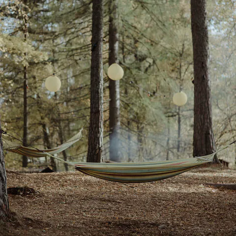 Experience the beauty of Abernethy Forest while lying in the hammocks