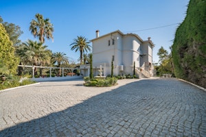 Vallauris Reverie image 6