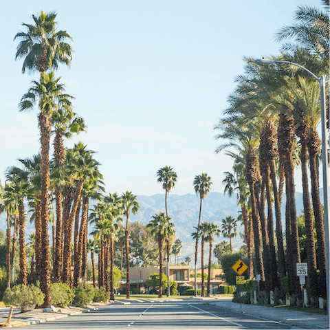 Explore the beautiful scenery of Palm Springs – downtown is just a five-minute drive