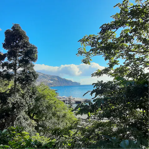 Take the short drive into the heart of Funchal 