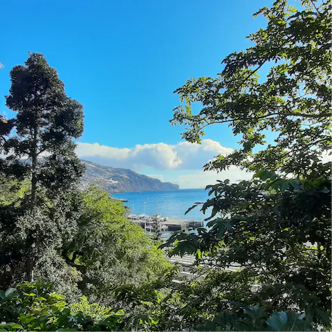 Take the short drive into the heart of Funchal