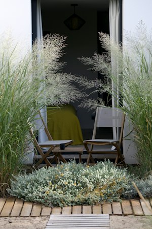 Whimsical Wilderness image 9