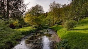 Midsummer's Dream image 5
