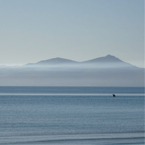 Spend the day by the majestic Mediterranean – just twenty-five-minutes away
