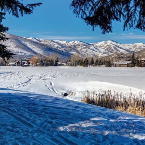 Enjoy beautiful alpine views from the back decks