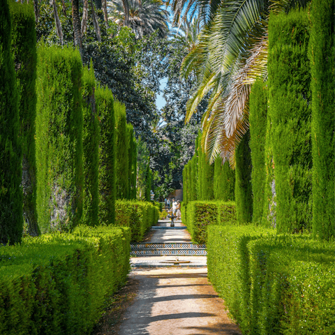 Feel the sun's warmth as you wander through the Royal Alcazar gardens