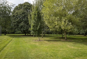 Wychwood Way image 3