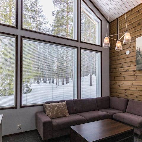 Enjoy views of Finnish Lapland from the living room