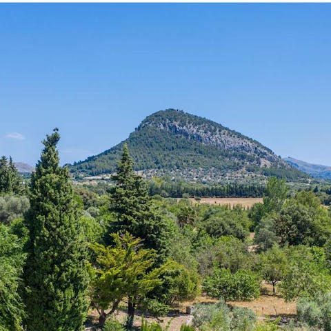 Explore the Majorcan countryside on your doorstep 
