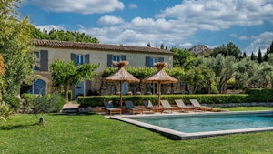 Olive Shade Haven image 1