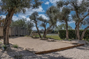 Olive Shade Haven image 9
