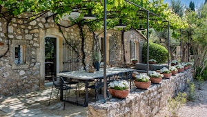 Olive Shade Haven image 7