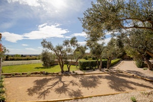 Olive Shade Haven image 6