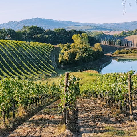Stay in the heart of Chianti and tour the famous wineries