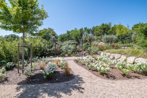 Provencal Dreams image 12