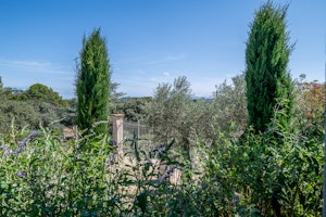 Provencal Dreams image 11