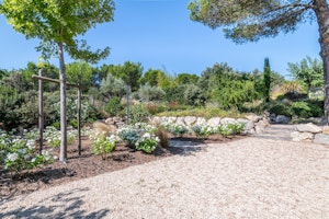 Provencal Dreams image 7