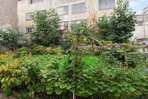 Paris Hideout image 12