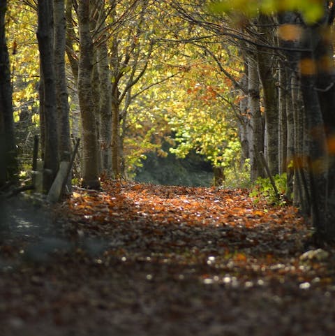 Improve your wellbeing with leafy strolls through the Cotswolds from this Oxfordshire location