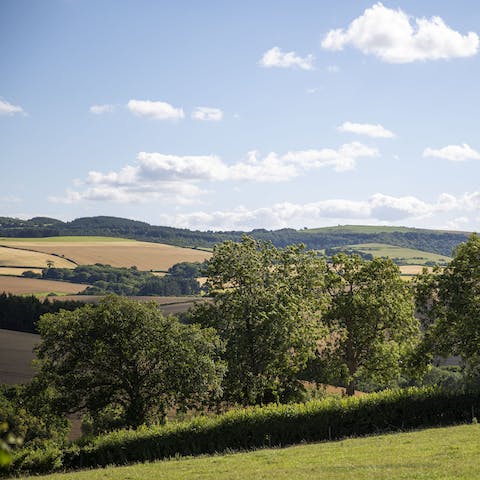 Gaze out over the rolling Devon hills towards the heart of Dartmoor from the garden