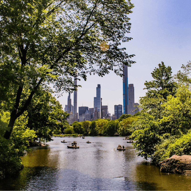 Wander to Central Park in just eight minutes