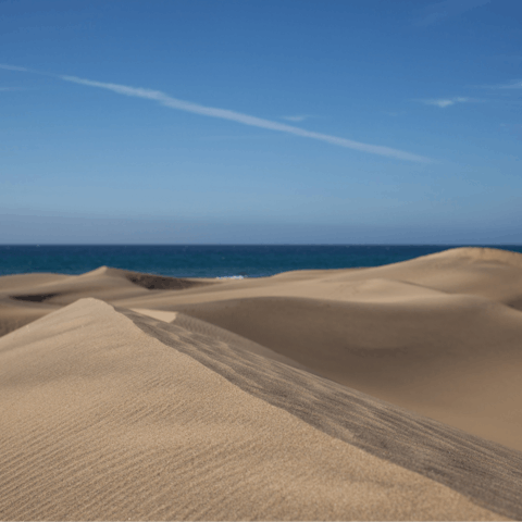 Explore the Sahara-like dunes of Maspalomas, a short walk away