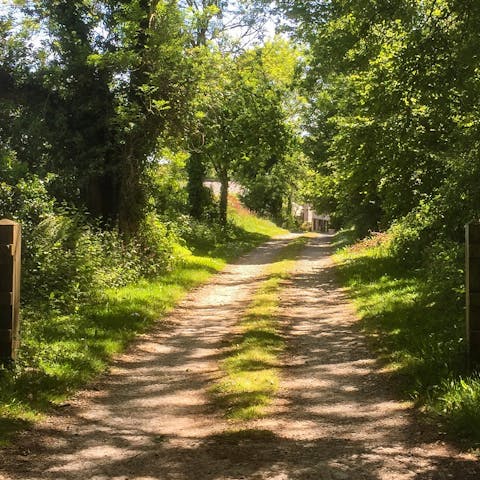 Head out into your private, two acres of countryside land on a sunny afternoon