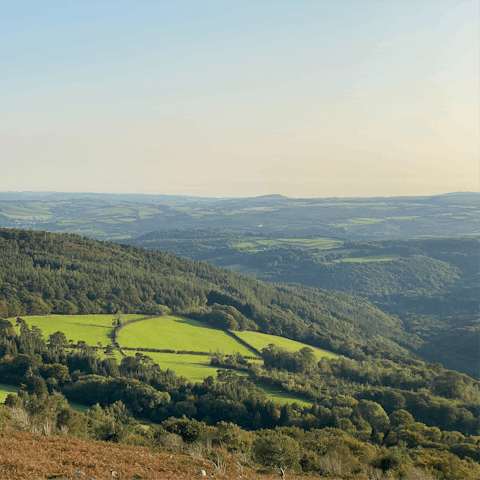 Take a twenty-minute drive to Dartmoor National Park for glorious hiking trails